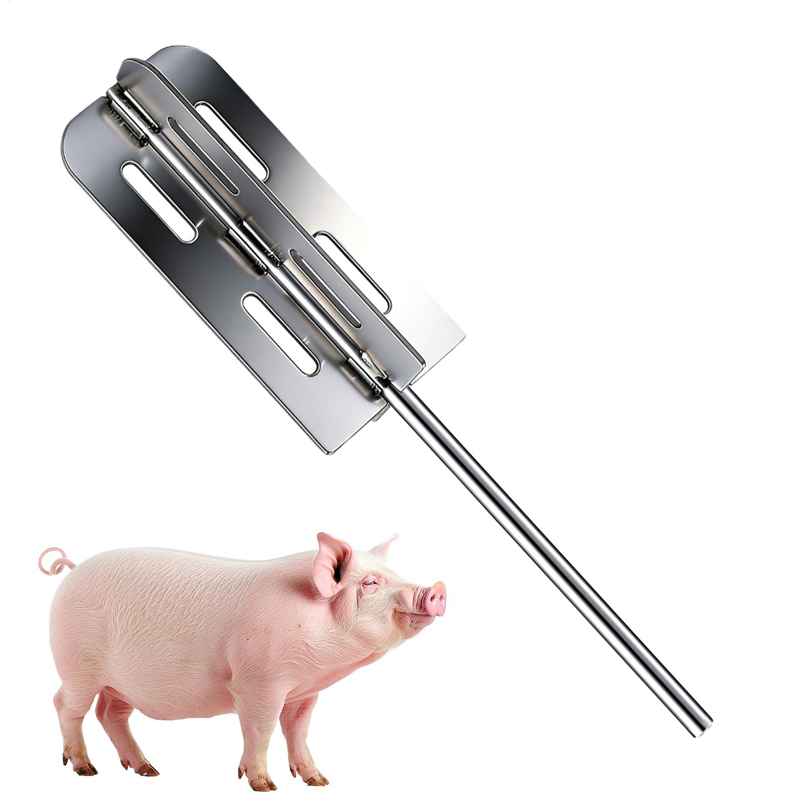 Hog Hair Removal Tool Stainles - Power Tools For Workshop review and price